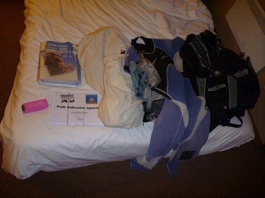 What's that pink thing on the left? You'll find out...