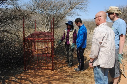 Setting a box trap Setting a box trap