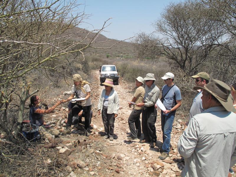 Update from our working holiday volunteering with leopards, elephants