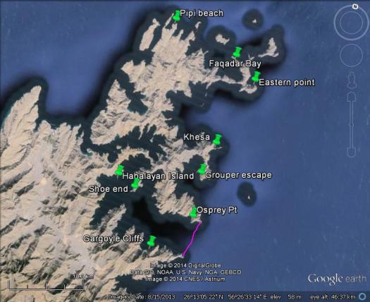 Musandam surveys 2014
