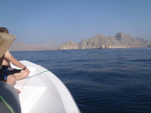 minke whale, Kriss Brandstrom