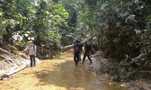 20150818_122541_resized