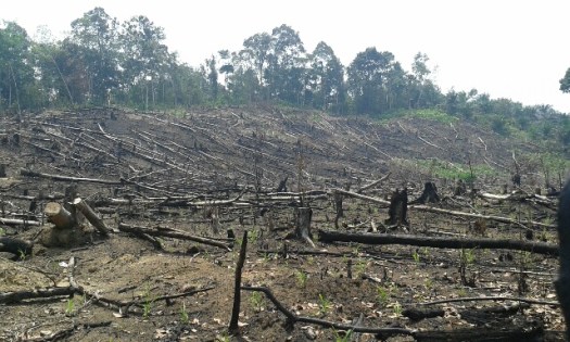 20150819_124525_resized_1