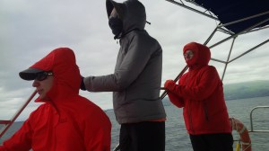 The reality of cetacean research (Craig Turner)