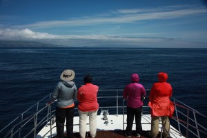 Some of the team on lookout (taken by Craig Turner)