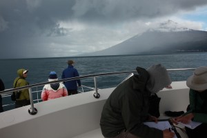 Working in the shadow of Pico