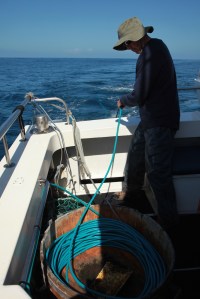 David on hydrophone