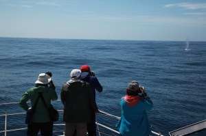 Capturing the action