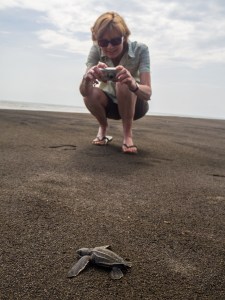 On the way to the ocean