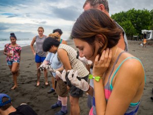 Releasing hatchlings