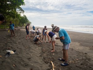 Beach cleaning