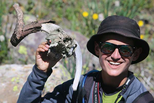 Jake and argali skull