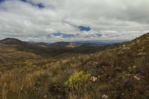 Another survey location