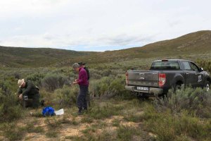 Camera trap deployment