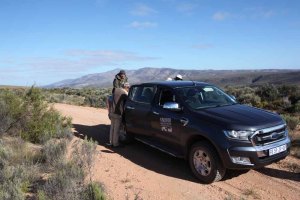 Contemplating a flush survey