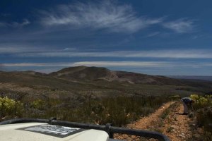 Driving home from the office