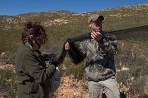 Lou and Alan sorting mist nets