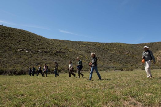 practice-flucsh-survey