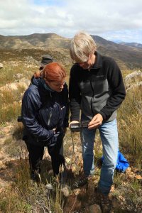 Setting a camera trap