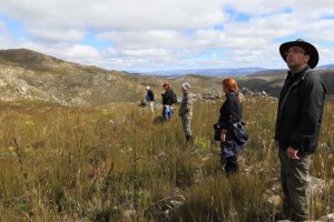 Start of a flush survey