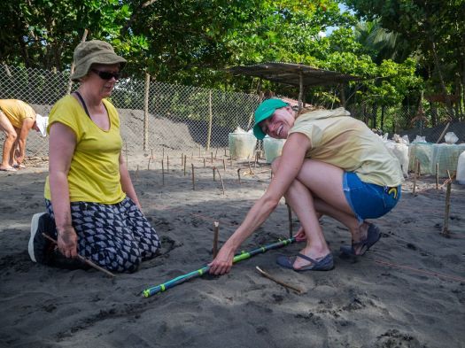Making grids, Rosalyn and Lindsay.