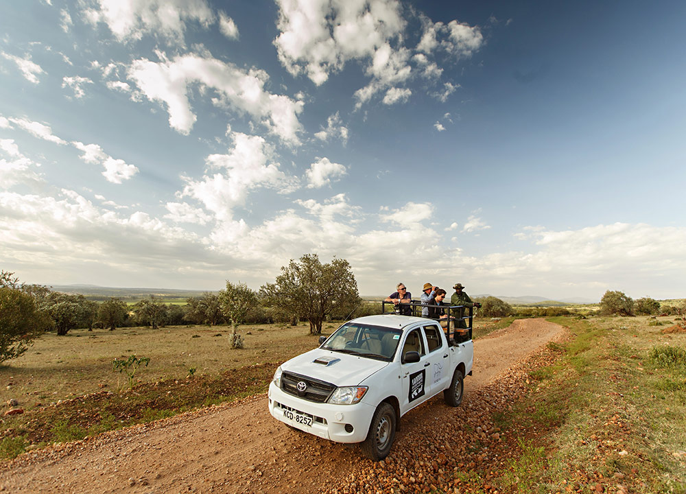 A white truck with 4 people standing in the back, in an arid landscape typically associated with safaris