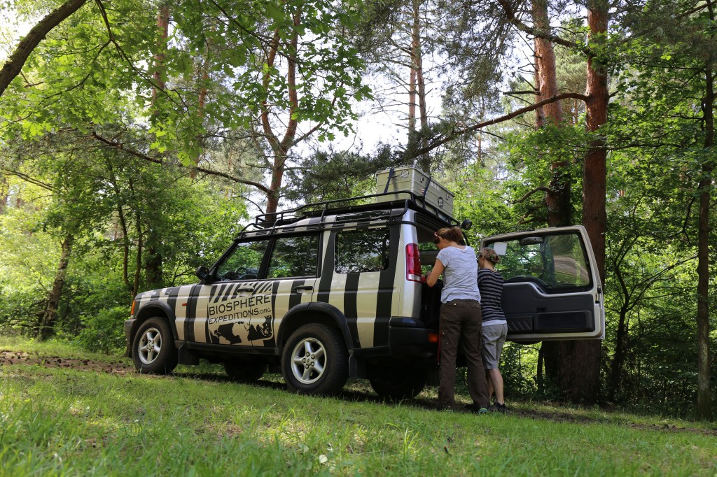 Two people standing at the open back of a Land Rover in the forest