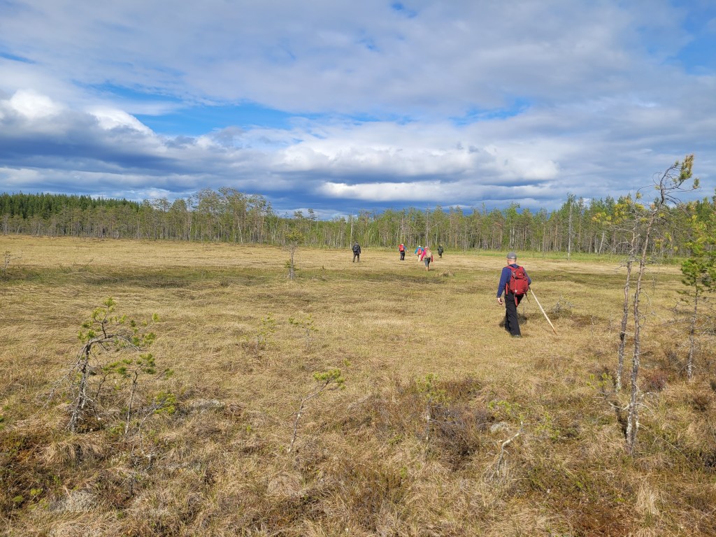 People walking across flat grassland towards a forest in the background